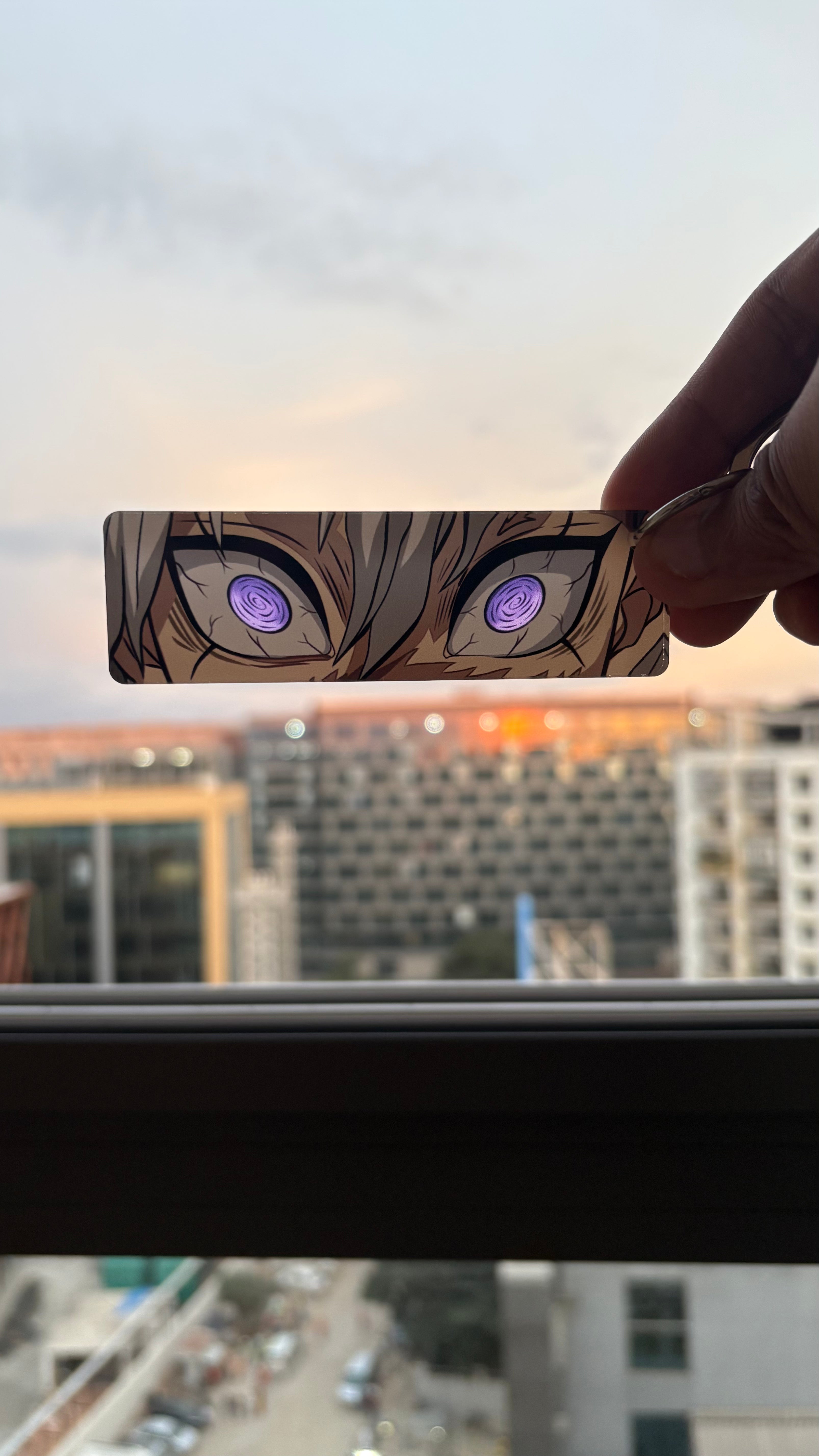 Sanemi plate only image